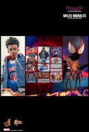 Hot Toys Spider Man: Across the Spider Verse Miles Morales 1:6 Scale Collectable Action Figure