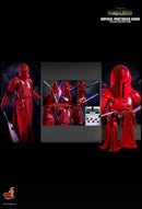 Hot Toys Star Wars Imperial Praetorian Guard 1:6 Scale Collectable Action Figure