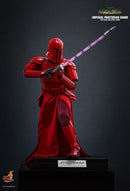 Hot Toys Star Wars Imperial Praetorian Guard 1:6 Scale Collectable Action Figure