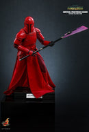 Hot Toys Star Wars Imperial Praetorian Guard 1:6 Scale Collectable Action Figure