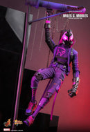 Hot Toys Spider Man: Across the Spider Verse Miles G. Morales 1:6 Scale Collectable Action Figure