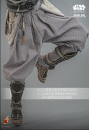 Hot Toys Star Wars: Ahsoka (TV) Ahsoka Tano 1:6 Scale Collectable Action Figure