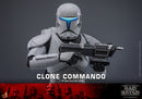 Hot Toys Star Wars Clone Commando 1:6 Scale Collectible Action Figure