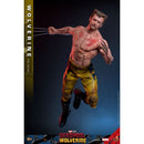 Hot Toys Deadpool & Wolverine Wolverine (TVA Jacket) 1:6 Scale Collectable Action Figure