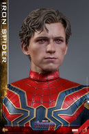 Hot Toys Avengers 4: Endgame Iron Spider 1:6 Scale Collectable Action Figure