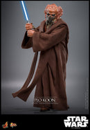 Hot Toys Star Wars: Revenge of the Sith Plo Koon 1:6 Scale Collectable Action Figure