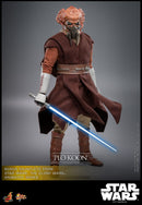 Hot Toys Star Wars: Revenge of the Sith Plo Koon 1:6 Scale Collectable Action Figure