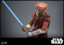 Hot Toys Star Wars: Revenge of the Sith Plo Koon 1:6 Scale Collectable Action Figure