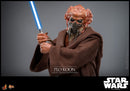 Hot Toys Star Wars: Revenge of the Sith Plo Koon 1:6 Scale Collectable Action Figure