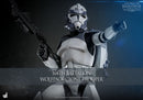 Hot Toys Star Wars 104th Battalion Wolfpack Clone Trooper 1:6 Scale Collectable Action Figure