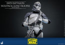 Hot Toys Star Wars 104th Battalion Wolfpack Clone Trooper Deluxe 1:6 Scale Collectable Action Figure