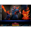 Hot Toys Deadpool & Wolverine Human Torch 1:6 Scale Collectable Action Figure
