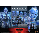 Hot Toys Batman & Robin Mr Freeze 1:6 Scale Collectable Action Figure