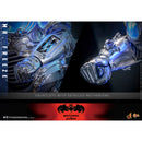 Hot Toys Batman & Robin Mr Freeze 1:6 Scale Collectable Action Figure