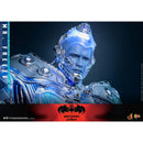 Hot Toys Batman & Robin Mr Freeze Deluxe 1:6 Scale Collectable Action Figure