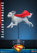 Hot Toys Superman (2025) Superman & Krypto 1:6 Scale Collectable Action Figure Set