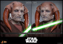 Hot Toys Star Wars Saesee Tiin 1:6 Scale Collectable Action Figure