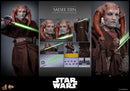 Hot Toys Star Wars Saesee Tiin 1:6 Scale Collectable Action Figure