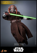 Hot Toys Star Wars Saesee Tiin 1:6 Scale Collectable Action Figure