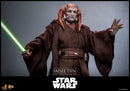 Hot Toys Star Wars Saesee Tiin 1:6 Scale Collectable Action Figure