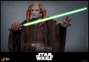 Hot Toys Star Wars Saesee Tiin 1:6 Scale Collectable Action Figure