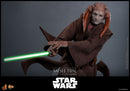 Hot Toys Star Wars Saesee Tiin 1:6 Scale Collectable Action Figure