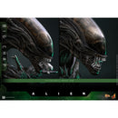 Hot Toys Alien Alien Big Chap 1:6 Scale Collectable Action Figure
