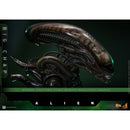 Hot Toys Alien Alien Big Chap 1:6 Scale Collectable Action Figure