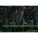Hot Toys Alien Alien Big Chap 1:6 Scale Collectable Action Figure