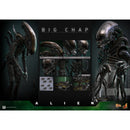 Hot Toys Alien Alien Big Chap 1:6 Scale Collectable Action Figure