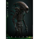 Hot Toys Alien Alien Big Chap 1:6 Scale Collectable Action Figure