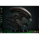 Hot Toys Alien Alien Big Chap 1:6 Scale Collectable Action Figure