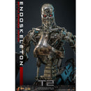 Hot Toys Terminator 2: Judgment Day Endoskeleton (Battle Damaged) 1:6 Scale Collectable Action Figure