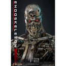 Hot Toys Terminator 2: Judgment Day Endoskeleton (Battle Damaged) 1:6 Scale Collectable Action Figure