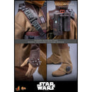 Hot Toys Star Wars: Return of the Jedi Leia Organa (Boushh Disguise) 1:6 Scale Collectable Figure