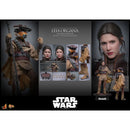 Hot Toys Star Wars: Return of the Jedi Leia Organa (Boushh Disguise) 1:6 Scale Collectable Figure
