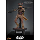 Hot Toys Star Wars: Return of the Jedi Leia Organa (Boushh Disguise) 1:6 Scale Collectable Figure