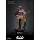 Hot Toys Star Wars: Return of the Jedi Leia Organa (Boushh Disguise) 1:6 Scale Collectable Figure
