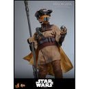 Hot Toys Star Wars: Return of the Jedi Leia Organa (Boushh Disguise) 1:6 Scale Collectable Figure