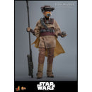 Hot Toys Star Wars: Return of the Jedi Leia Organa (Boushh Disguise) 1:6 Scale Collectable Figure