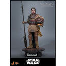Hot Toys Star Wars: Return of the Jedi Leia Organa (Boushh Disguise) 1:6 Scale Collectable Figure