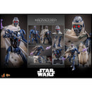 Hot Toys Star Wars MagnaGuard 1:6 Scale Collectible Action Figure