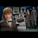 Star Ace Toys Fantastic Beasts 2: The Crimes of Grindelwald Newt Scamander 1:8 Scale Action Figure