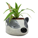Half Moon Bay Harry Potter Hufflepuff Plant Pot