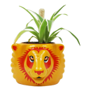 Half Moon Bay Harry Potter Gryffindor Plant Pot