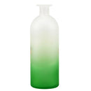 Half Moon Bay Harry Potter Polyjuice Potion Vase Glass