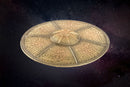 Master Replicas Doctor Who Dalek Spaceship Replica