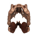 Factory Entertainment Jurassic Park T Rex Skull Scaled Prop Replica