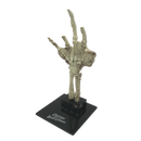 Factory Entertainment Universal Monsters Fossilized Creature Hand Scaled Prop Replica