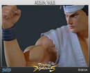 First 4 Figures Virtua Fighter 5 Akira Yuki Statue